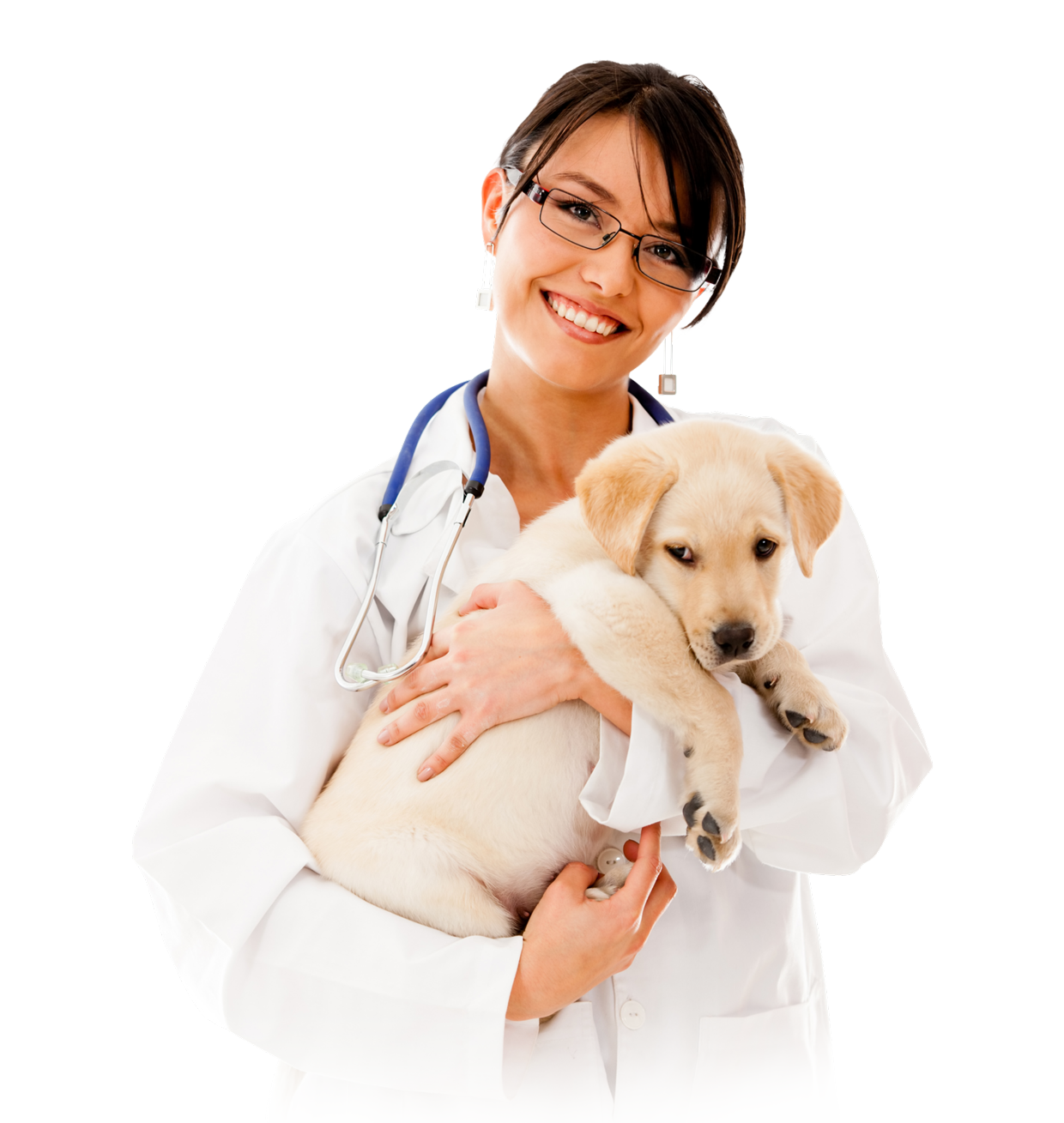 Become veterinarian partner with Nikolaus Nature