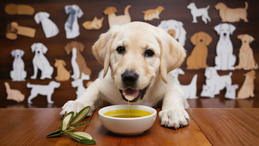 Olive Oil for Dogs: Is It Safe for All Breeds and Ages?